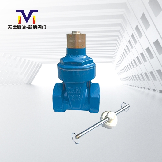 鎖閉式橡膠閘閥